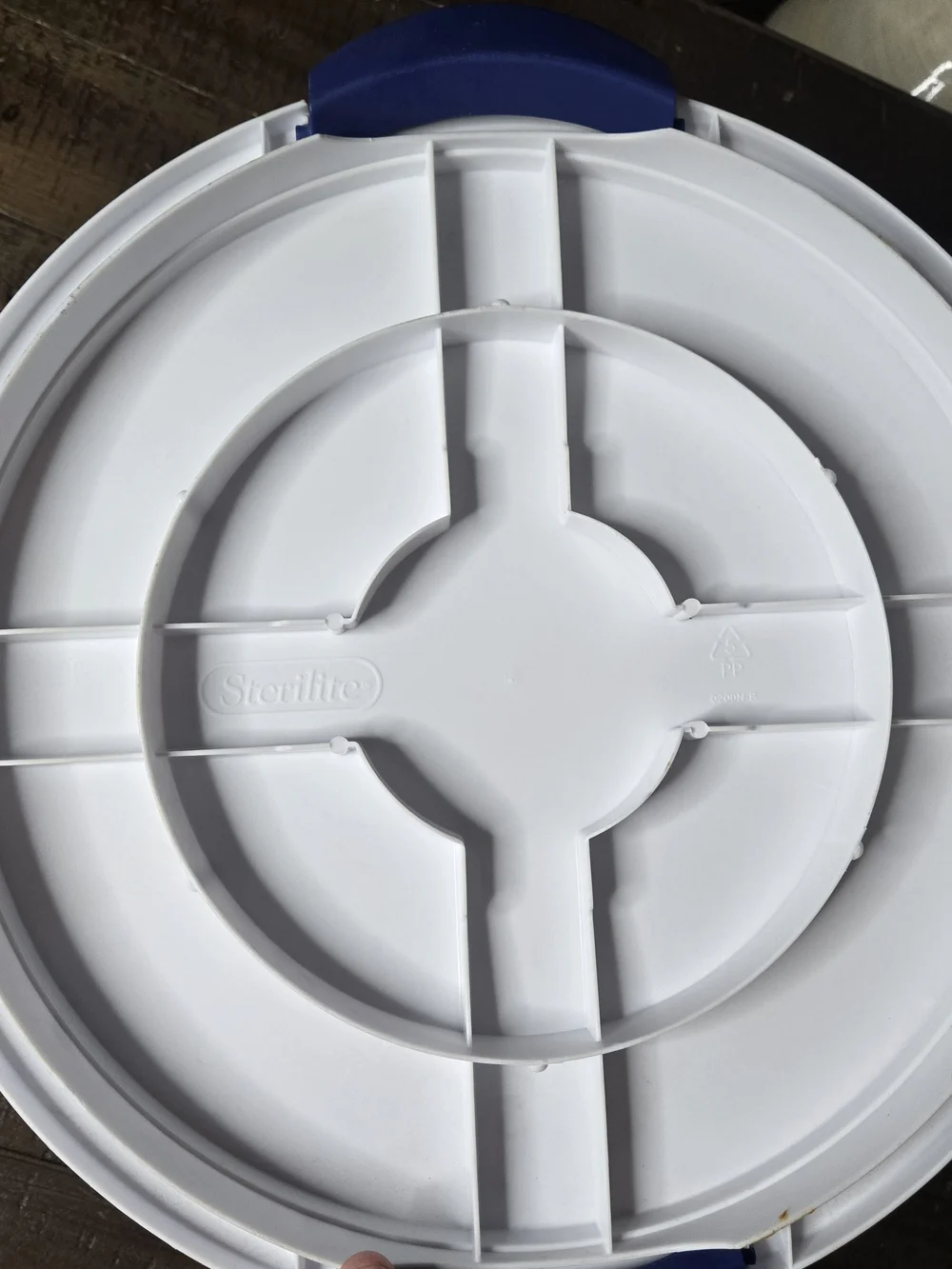 Sterilite Round Cake Carrier with Locking Handles & Clear Dome Lid – White/Blue
